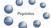Peptides-Menu